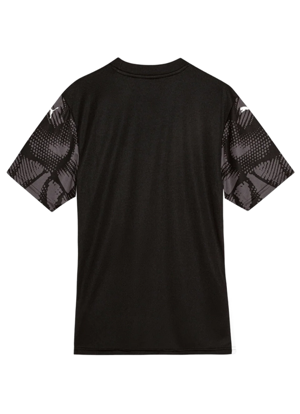 Camisa Bahia Goleiro 2025/26 Torcedor Puma Masculina - Cinza