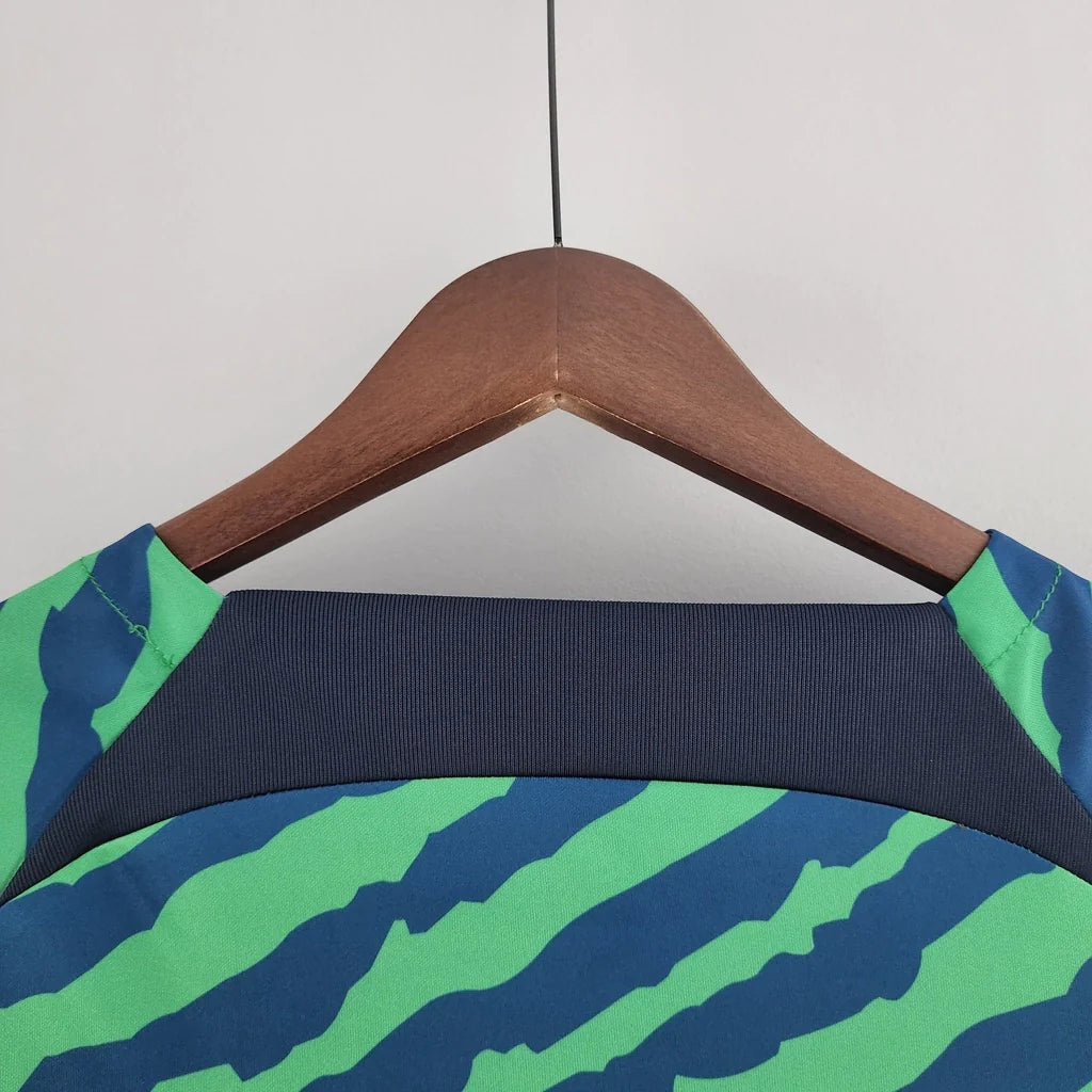 Camisa Seleção Brasileira Pré-Jogo 2022 Torcedor Nike Masculina - Azul e Verde