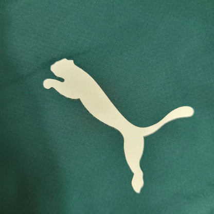 Corta Vento Palmeiras Puma Masculino - Verde