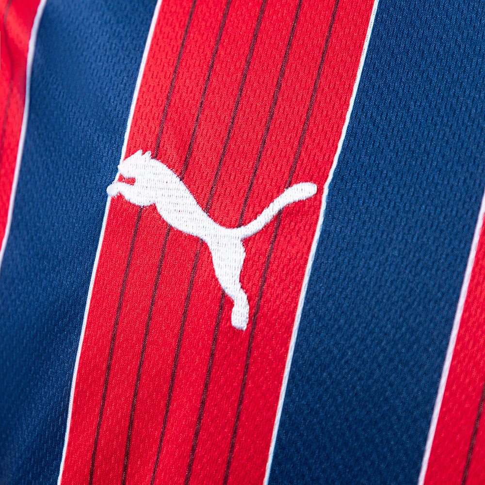 Camisa Bahia Away 2025/26 Torcedor Puma Masculina - Tricolor